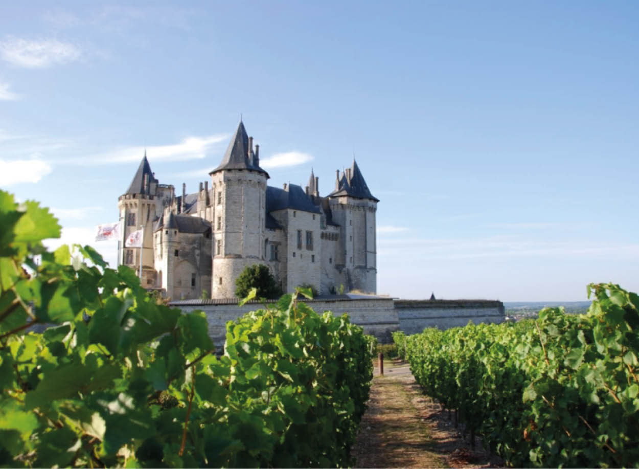 chateau saumur