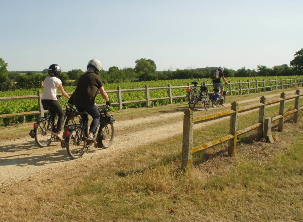 Loire Secrets - Activité de cohésion en Solex - Wine and Solex experience