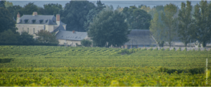 Lire la suite à propos de l’article Préparez votre événement au cœur des vignes