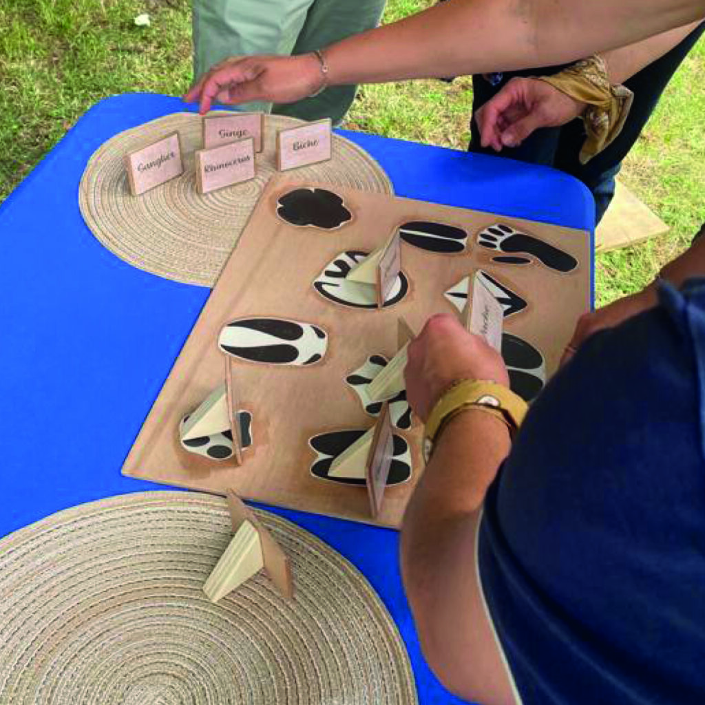 Loire Secrets - Team Building autour de l'écologie - Eco'logique