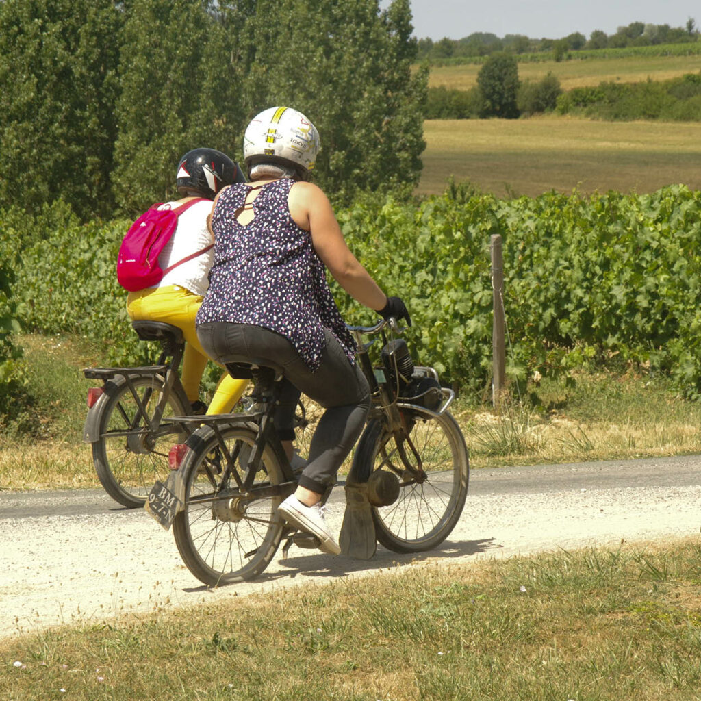 Loire Secrets - Activité de cohésion en Solex - Wine and Solex experience